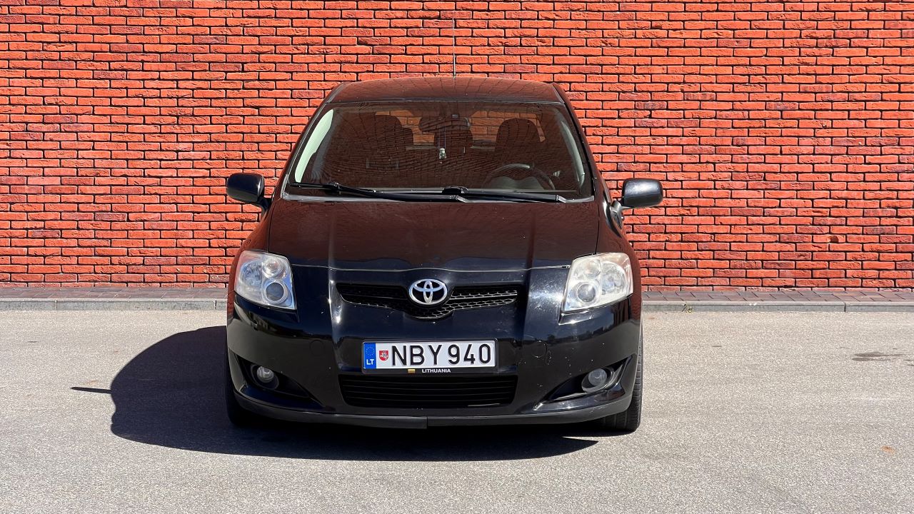 Auris priekis